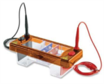 Clarit-E Horizontal Gel Systems from Alphalabs