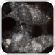 Darkfield Hyperspectral Imaging for Analysis of Nanoparticles in Cancer Cells