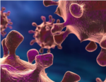 Nuclear Magnetic Resonance (NMR): A Trend in Medical Research