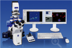 Applying AFM to Liquid Cell Experiments in the Life Sciences