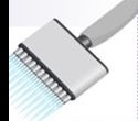 Chromatrap 96 High Throughput ChIP for Screening Multiple Epigenetic Targets