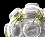 Integrating phytomedicine and nanotechnology in managing COVID-19 related heart disease