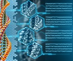 Researchers trace metabolic superpowers of hibernators to shared DNA