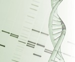 New data confirms efficacy of mitochondrial donation in preventing disease