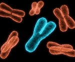 Gene-rich human Chromosome 19 sequence completed