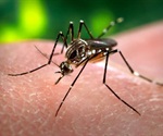 WHO update on Dengue fever in Indonesia