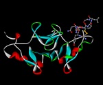 Nighttime surge of ghrelin may point to new targets for treating obesity