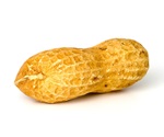 Researchers identify key cells behind peanut allergy prevention