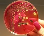 Household dogs found to contribute to the spread of antibiotic-resistant Salmonella