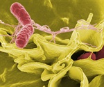 Pennsylvania's restaurants, stadiums, bars and supermarkets are adjusting to revised food safety requirements