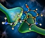 Scientists determine structure of key protein in neuronal communication