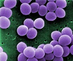 Curcumin-based therapy offers hope against antibiotic-resistant superbugs