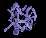 Community vaccination program reduces pneumonia deaths among elderly in Japan