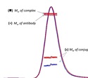 Application of ASTRA 6 Software Tool for Analysis of Drug-Antibody Components