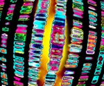Advances in Contaminant Testing of Dietary Supplements