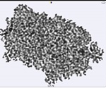 Using Morphologi G3-ID to Characterize Protein Aggregates in Stressed Lysozyme Sample