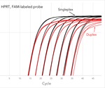 Probe based qPCR assay complete solution