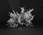 Can Nanostructured Microelectrodes be Used to Analyze Biomarkers? An Interview with Dr Shana Kelley