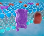 Stabilizing Lipid Bilayer Membranes