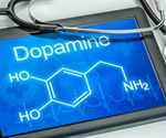 Study reveals dopamine sends precise signals rather than broad brainwide messages