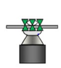 Spinning disk confocal microscopy