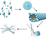 Characterization of Worm-Like Micelles Based on Rheology