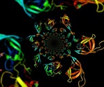 Proteomics: Top-Down or Bottom-Up?