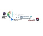 Okayama University researchers find way to prevent replication of influenza viral RNA
