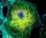 Imaging beyond the diffraction limit with the HyVolution 2 and the Leica TCS SP8 STED ONE