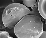 Targeted Drug Delivery Using Porous Glass Microspheres