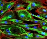 Applications of Confocal Imaging