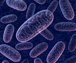 Adenosine Triphosphate (ATP) Function in Cells