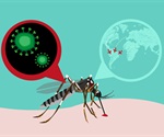 A detailed map to understand how viruses infect human cells