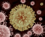Study reveals distinct infection strategies of Zika and dengue viruses