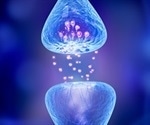 Research provides better understanding of mechanisms underlying memory storage