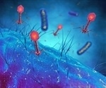 Clinical trial to test the safety, efficacy of bacteriophages for treating P. aeruginosa infections in CF patients