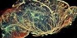 Working with Compact MRI