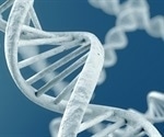 Researchers trace metabolic superpowers of hibernators to shared DNA