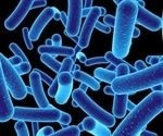 Fluorescent bacteria enable real-time tumor visualization during surgery