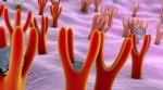 Sensors at the Nanoscale