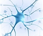 New drug combination may improve treatment for rare nerve sheath tumors