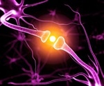 Immune cells navigate tissues with coordinated cytoskeletal forces