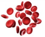 Evolution of malaria protein family offers new drug targets