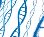 UC Riverside scientists develop tool to preserve mitochondrial DNA