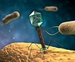 Scientists coax a deadly bacterium to destroy itself from the inside out
