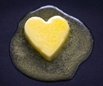 New U.S. Food Guidance System differentiates among types of fat