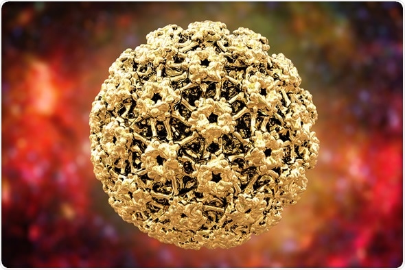 Human papillomavirus (HPV) is a DNA virus from the papillomavirus family that is capable of infecting humans. Image Copyright: Tatiana Shepeleva / Shutterstock