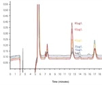 Ion Chromatography – A Universal Technique with Many Applications in the Pharmaceutical Industry
