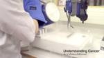 Understanding Cancer at a Molecular Level