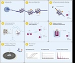Chromatrap reports benefits of using ChIP-seq kit for histone methylation applications